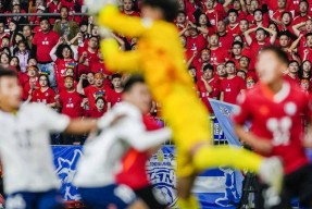 本菲卡训练开放日；国际比赛日止住颓势引欢呼；德甲在即；细节决定成败(本菲卡今晨比赛比分)